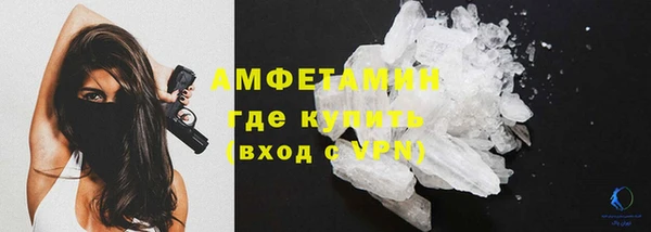 сатива Арсеньев