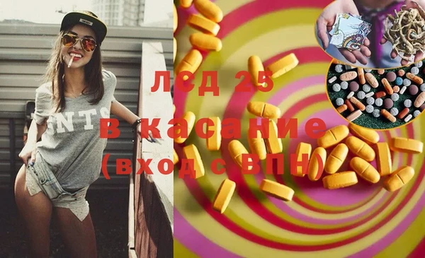 сатива Арсеньев