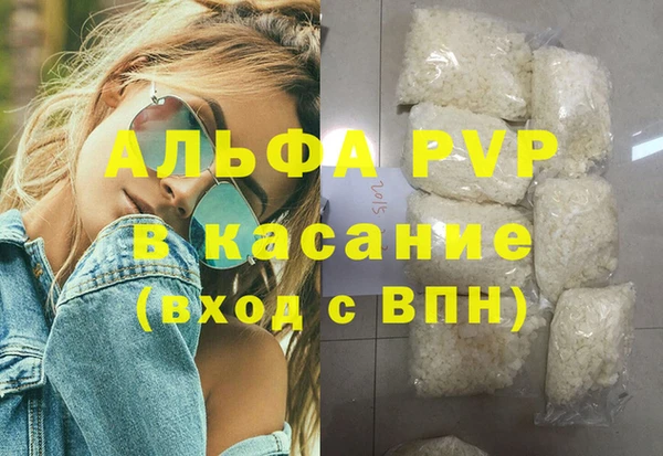 сатива Арсеньев