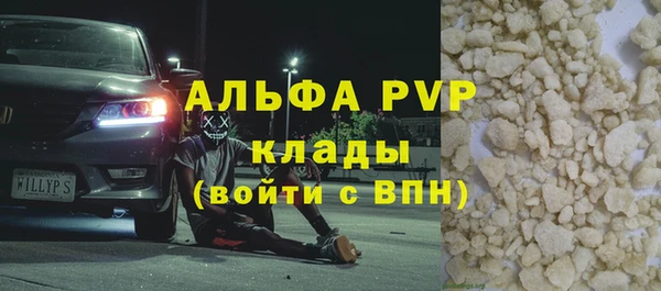 сатива Арсеньев