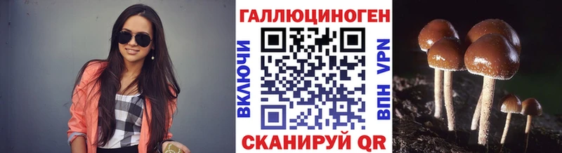 Галлюциногенные грибы MAGIC MUSHROOMS  купить закладку  Шлиссельбург 